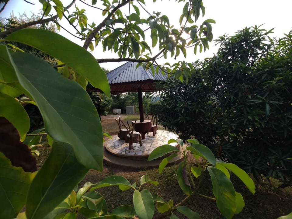 Natural landscape, Garden, Garden view