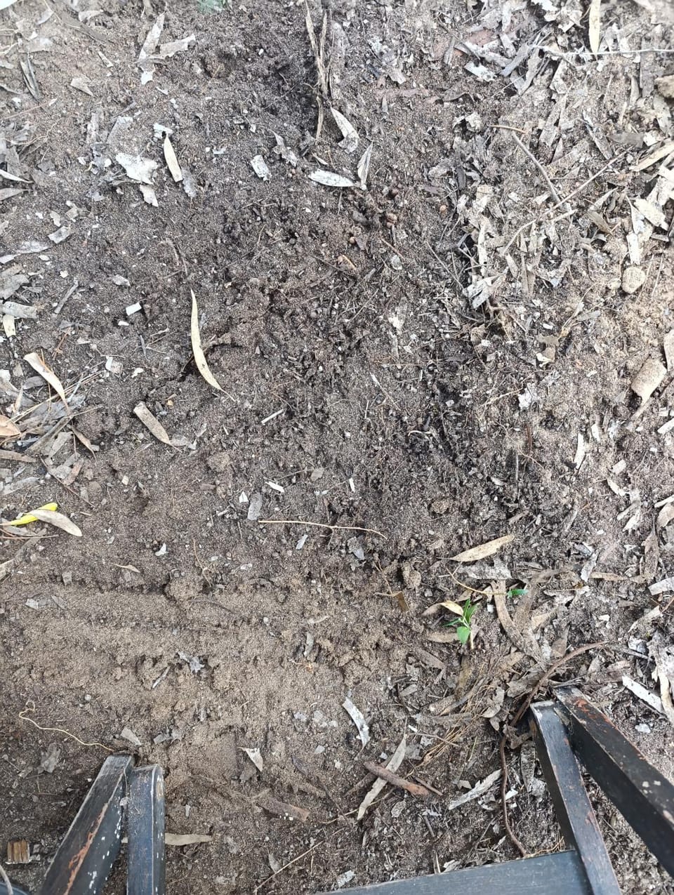 Eco-Friendly Villa - Hot Tub Forest & Sea Access House in Kos, Greece