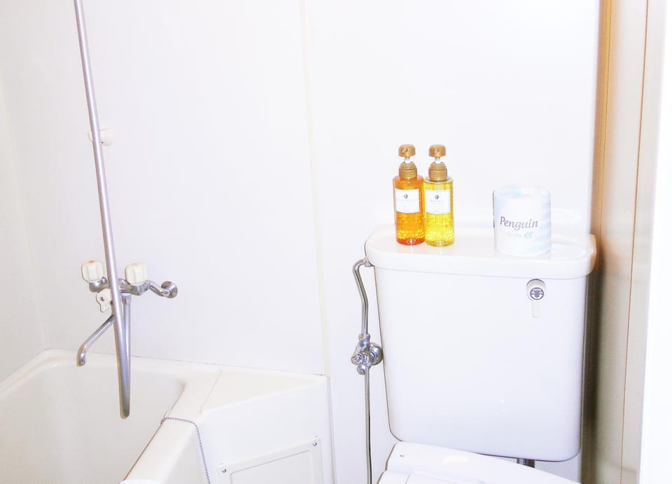 Shower, Toilet, Bathroom, Photo of the whole room