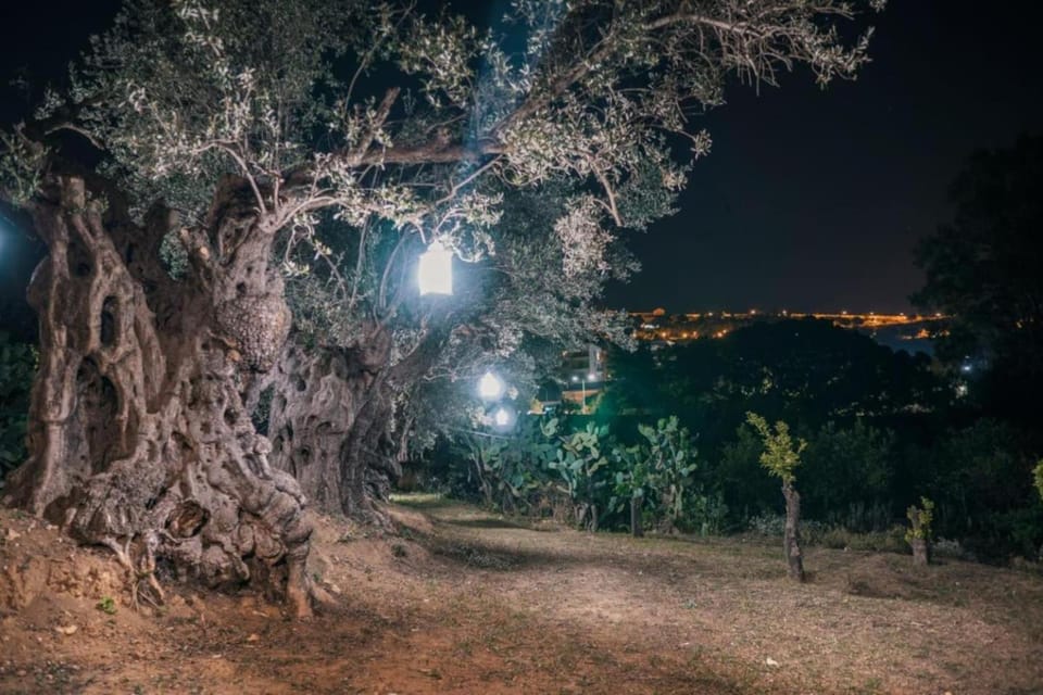 villa palmi Apartment in Agrigento