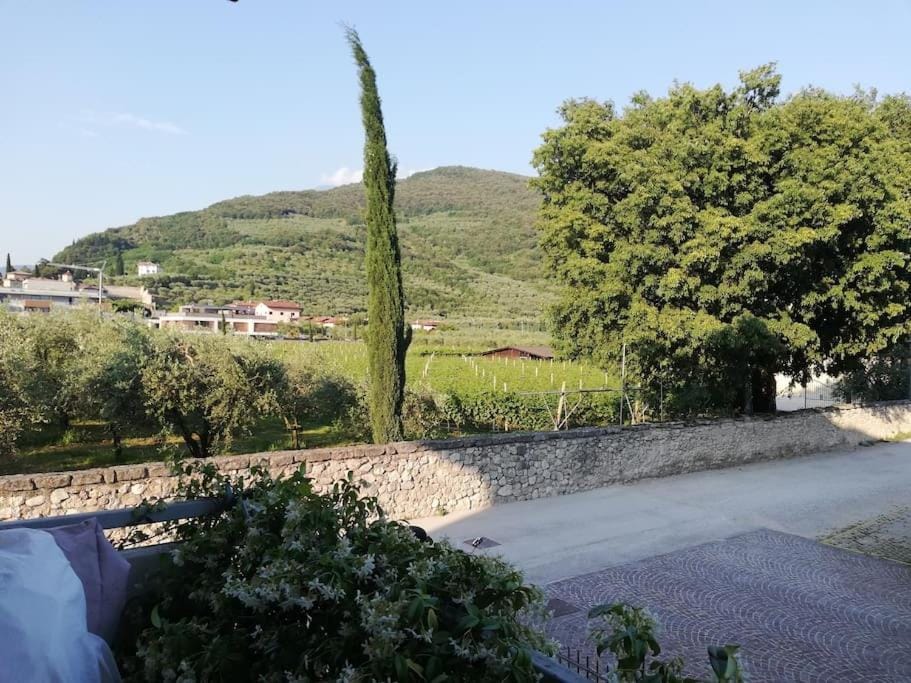 Neighbourhood, Natural landscape, Mountain view