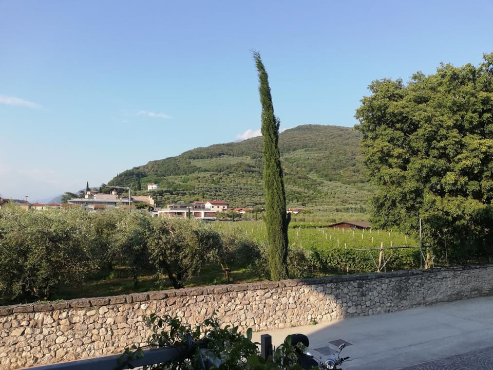 Neighbourhood, Natural landscape, Mountain view