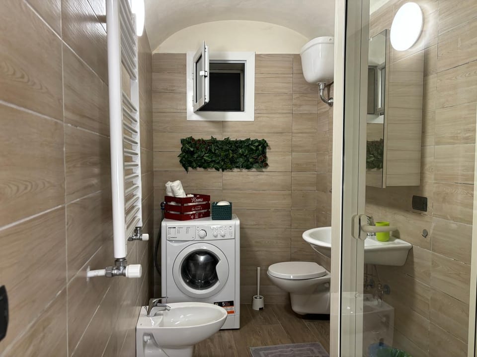 Shower, Toilet, Bathroom, bidet, towels, washing machine