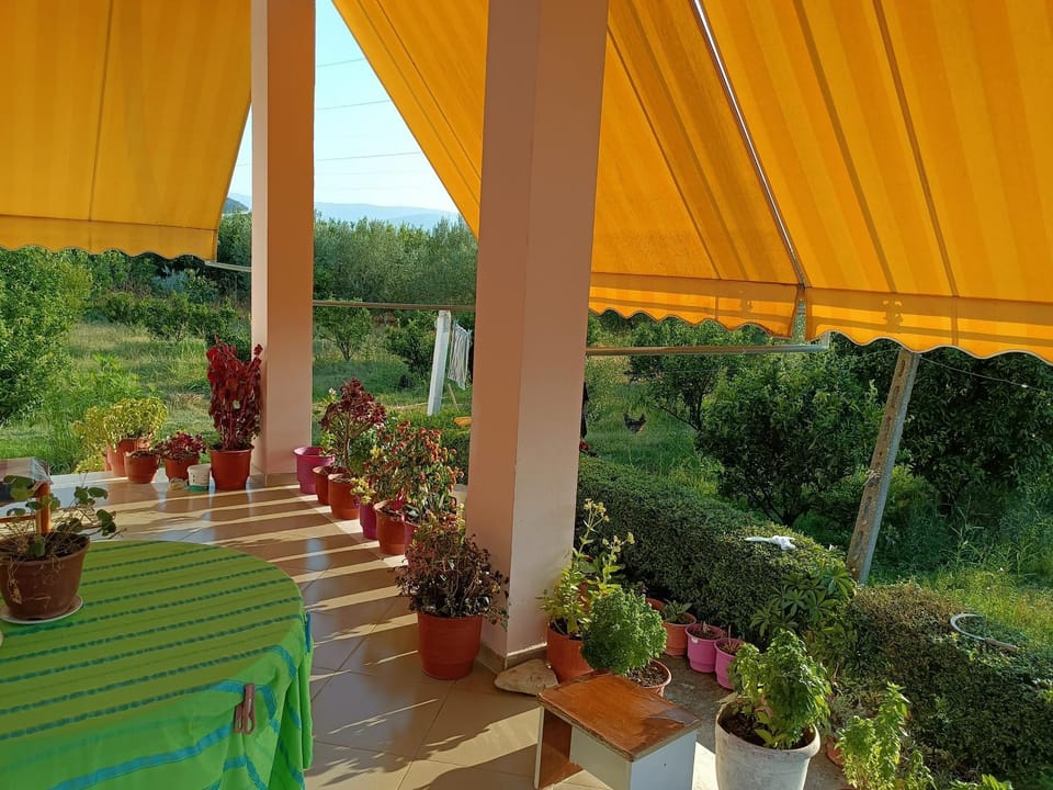 Guest house Fetie House in Europe