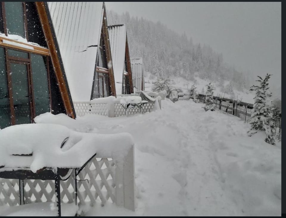 Grand Resort Liza Chalet in Montenegro