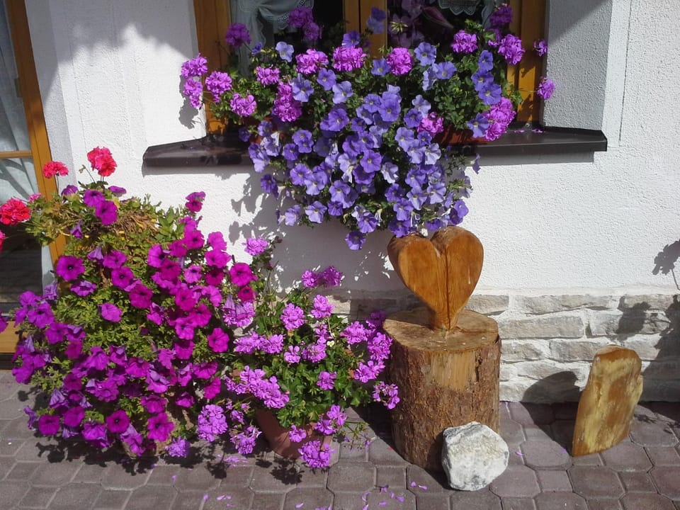 Apart Mangweth Apartment in Trentino-South Tyrol