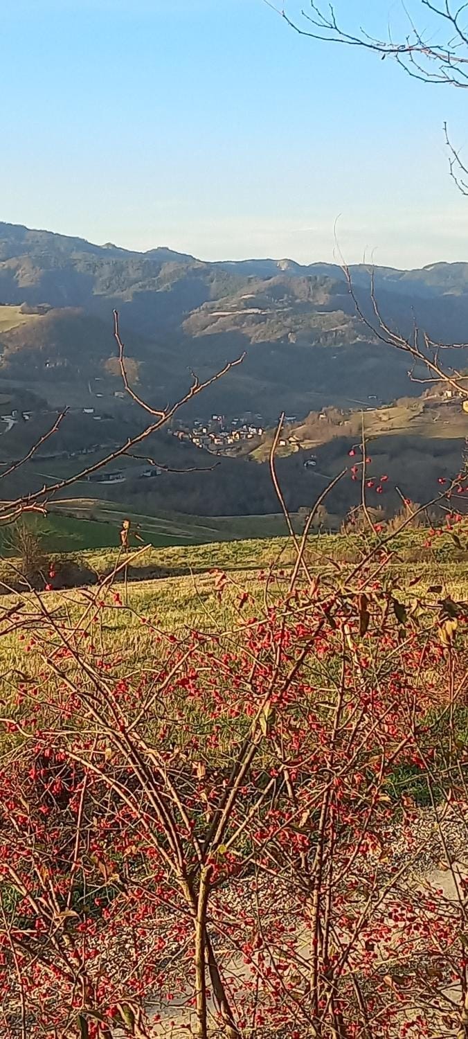 Raggio Campacci di Sacchetti Vanessa Bed and Breakfast in Emilia-Romagna