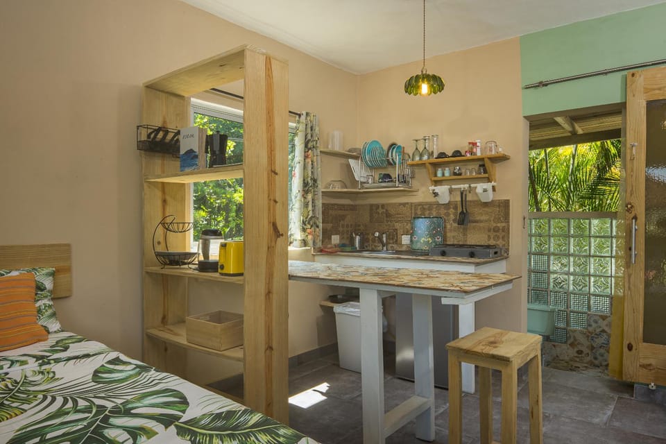 Kitchen or kitchenette, kitchen