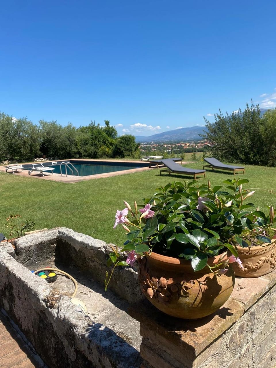 Pool view