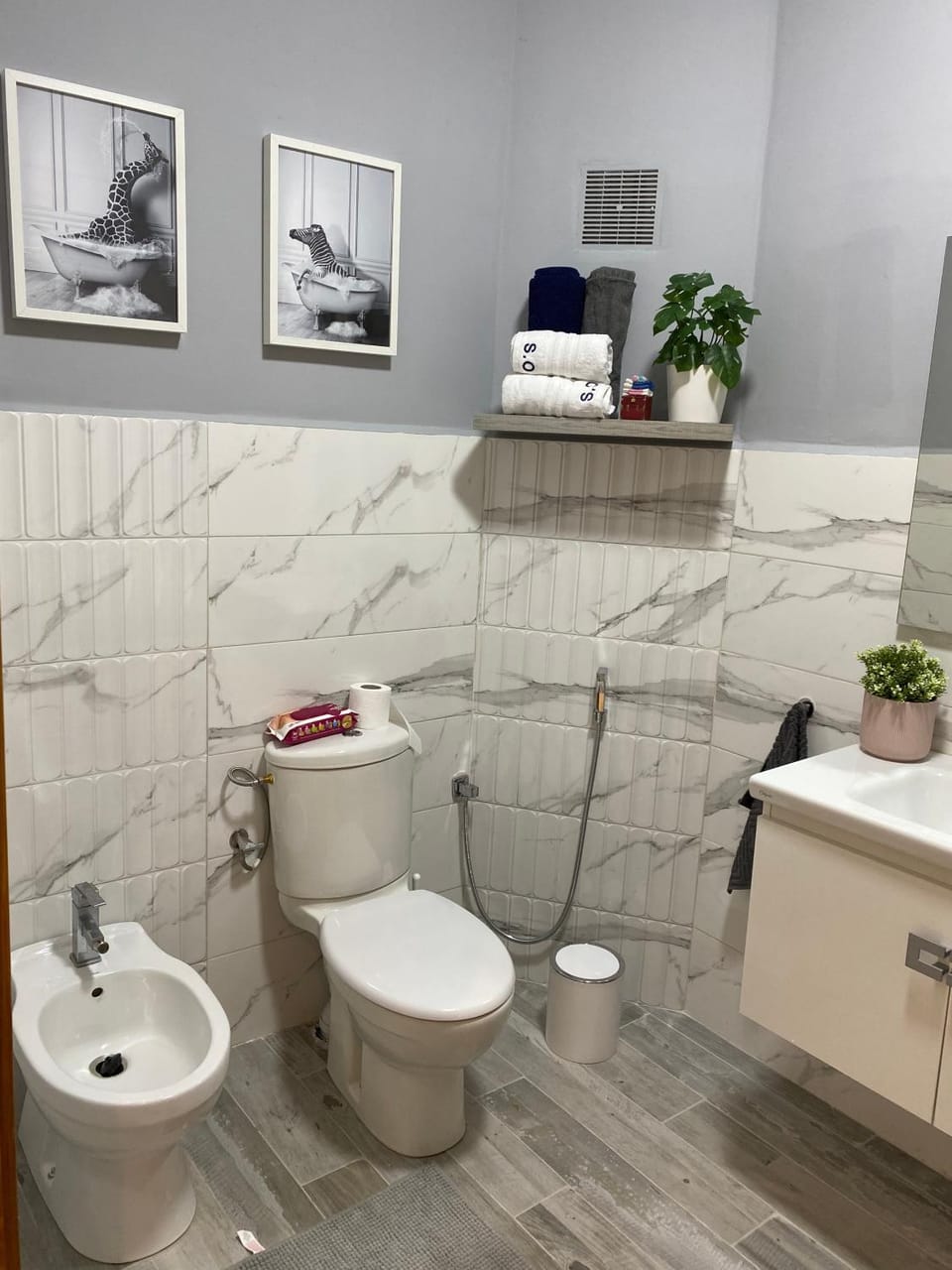 Toilet, Bathroom, bidet
