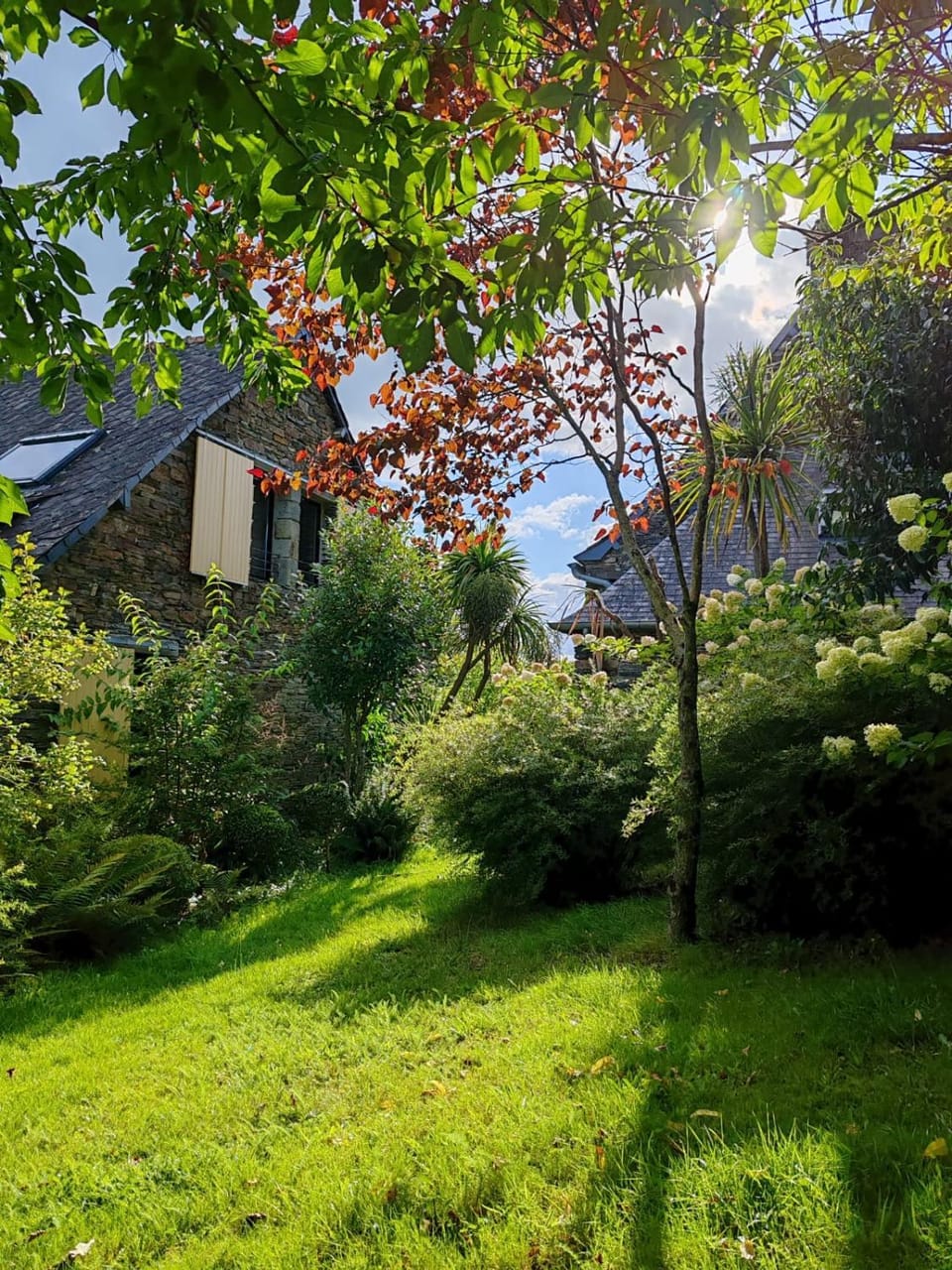 Natural landscape, Garden view