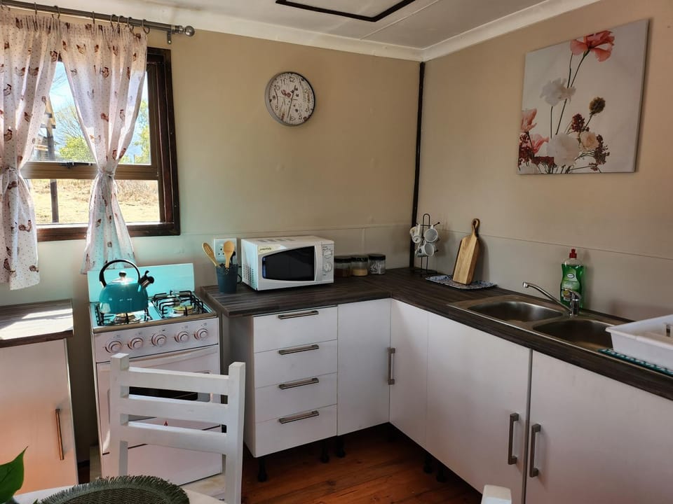 Coffee/tea facilities, Kitchen or kitchenette, minibar, pet friendly, stove, toaster
