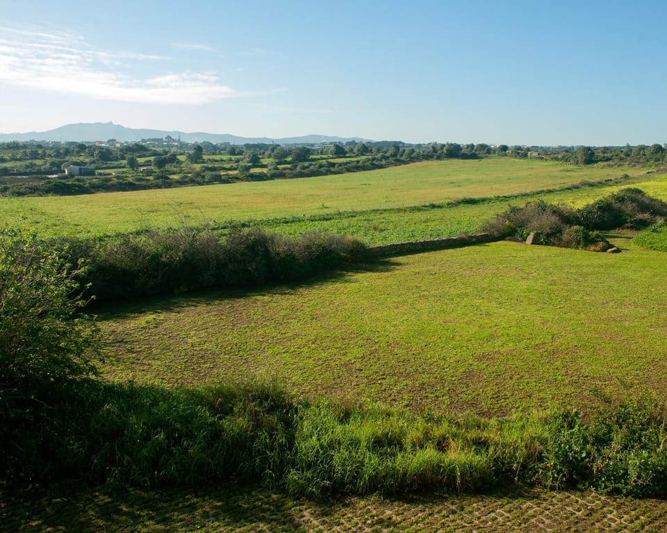 Natural landscape