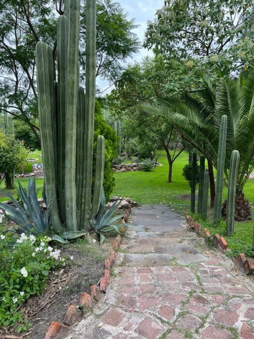 Natural landscape, Garden