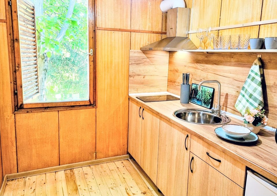 Kitchen or kitchenette, stove