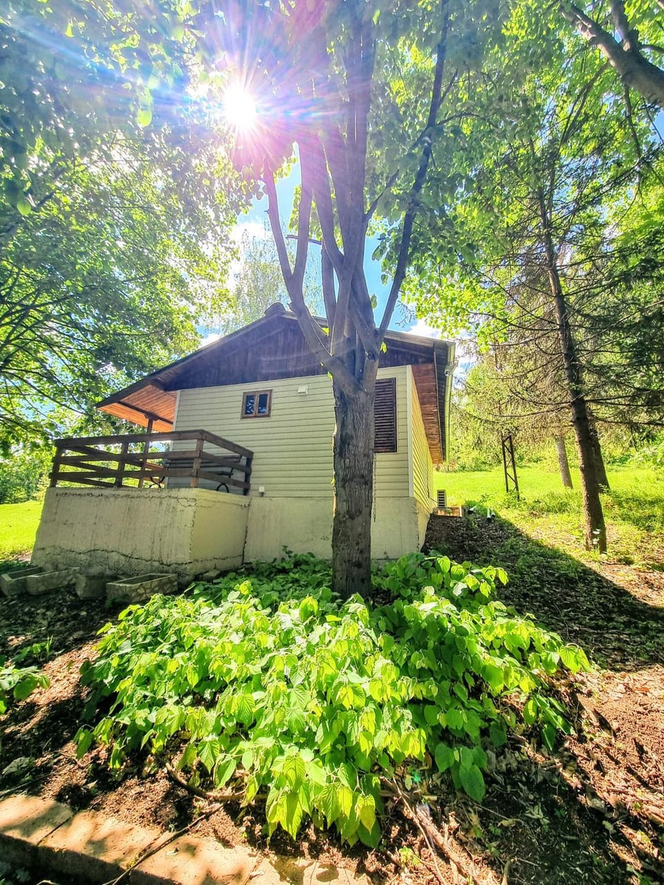 Property building, Day, Natural landscape, Garden, Garden view