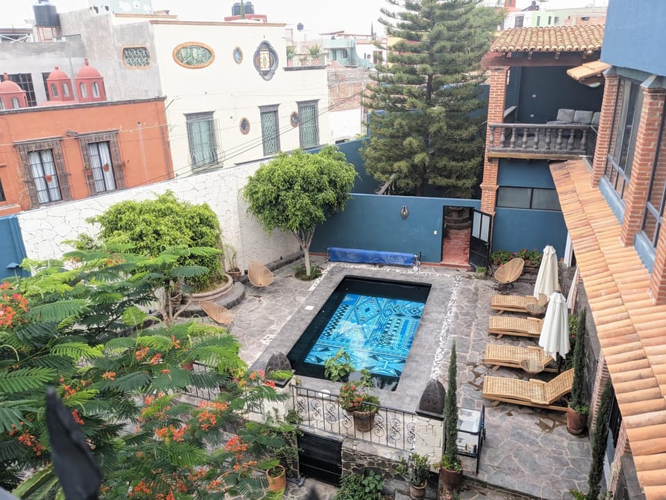 Day, View (from property/room), sunbed