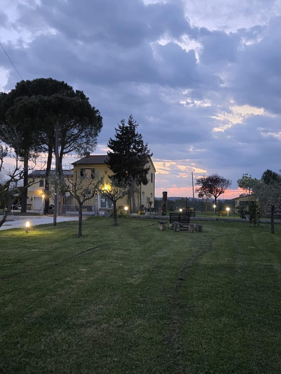 Garden view