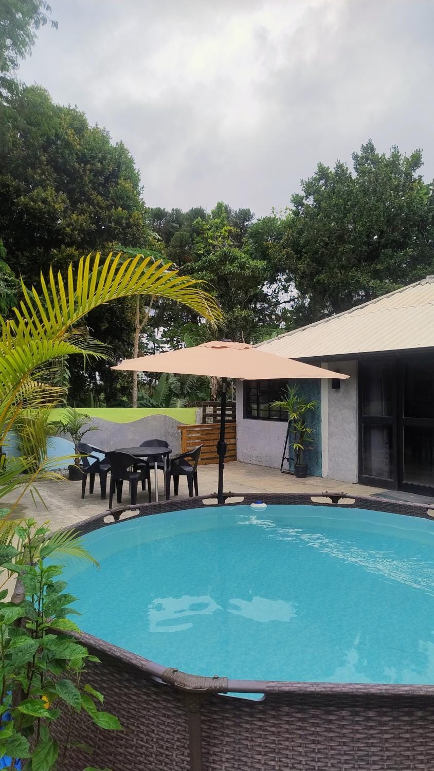 Patio, Pool view, Swimming pool