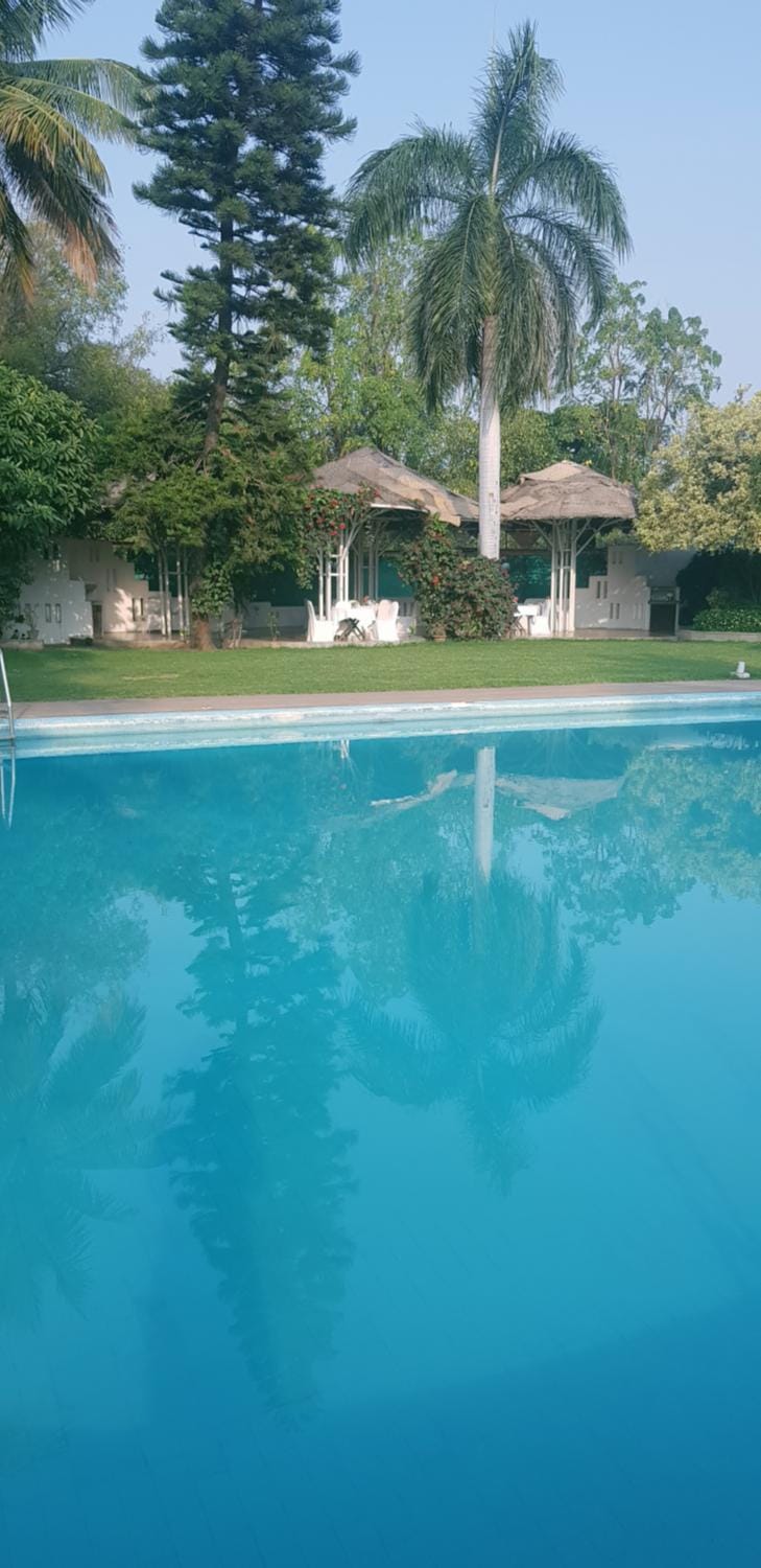 Pool view, Swimming pool