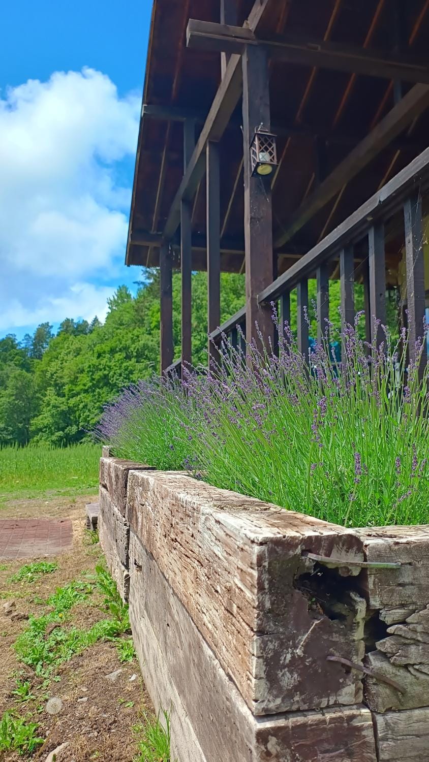 Bears House Chalet in Furano