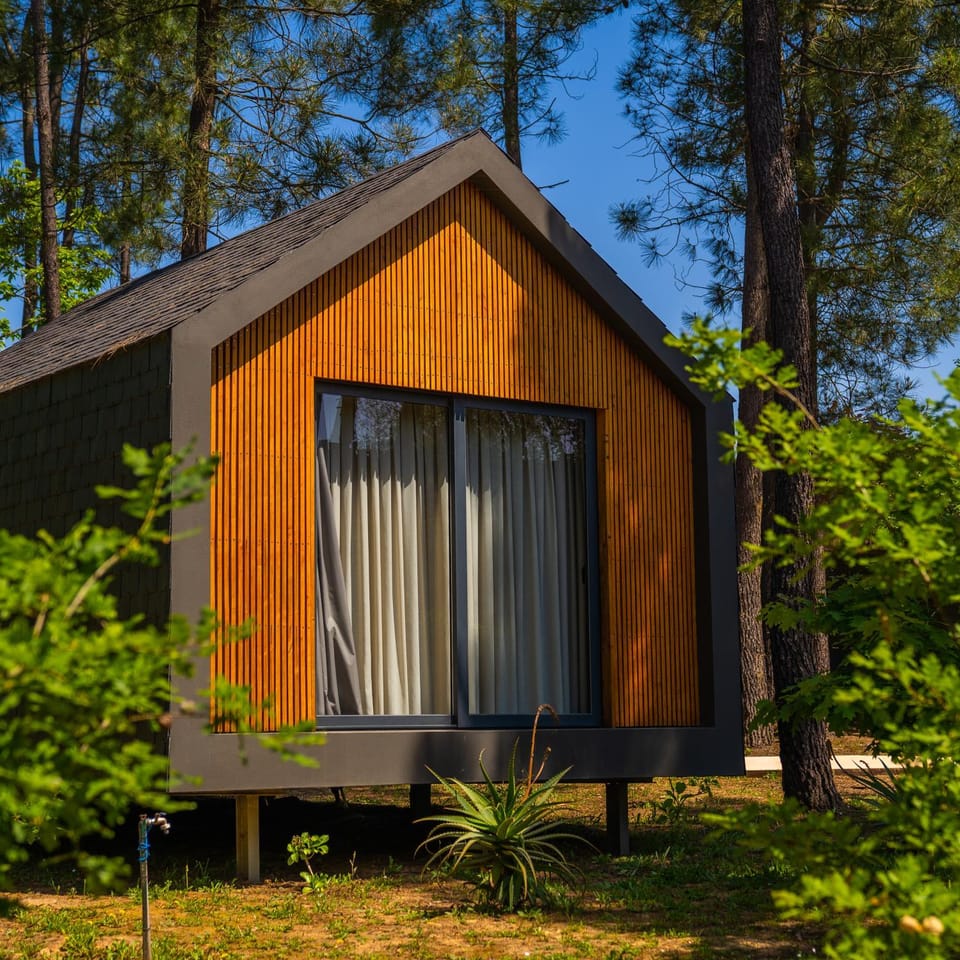 Day, Garden, Garden view