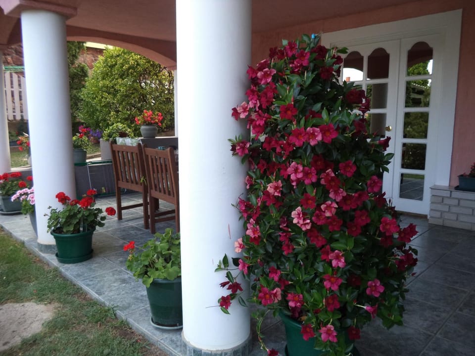 Garden, Balcony/Terrace