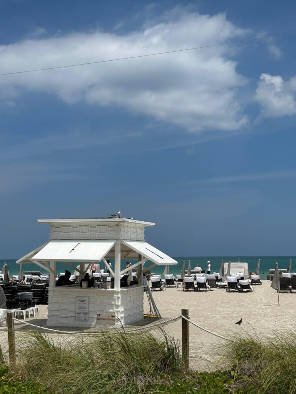 Fontainebleau Miami Beach,Tresor Hotel in Miami Beach