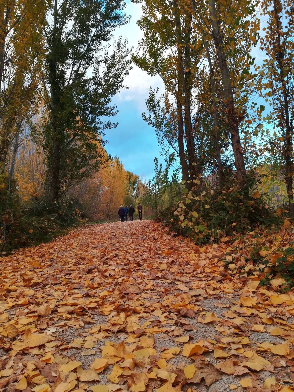 Hiking