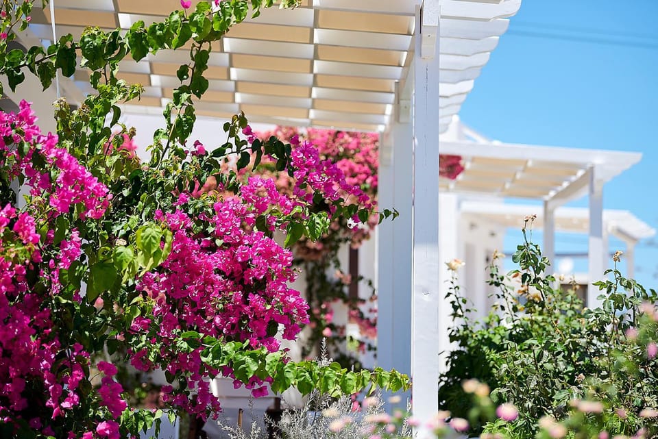 Property building, Garden