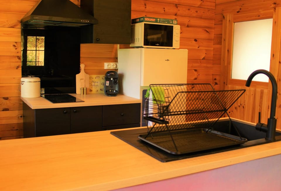 Kitchen or kitchenette, minibar, stove
