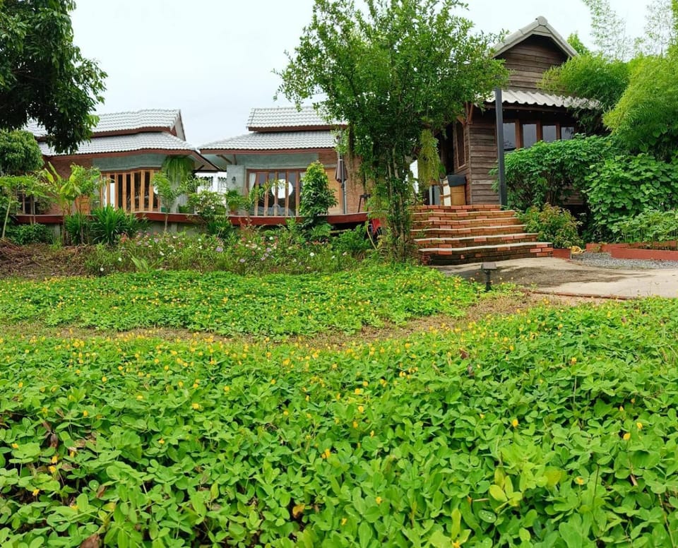 Natural landscape, Garden view