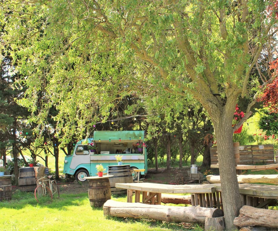 Restaurant/places to eat, Lounge or bar