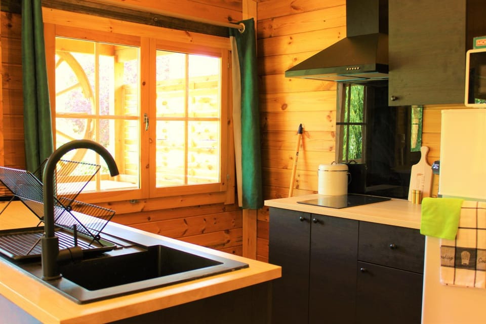Kitchen or kitchenette, minibar, stove