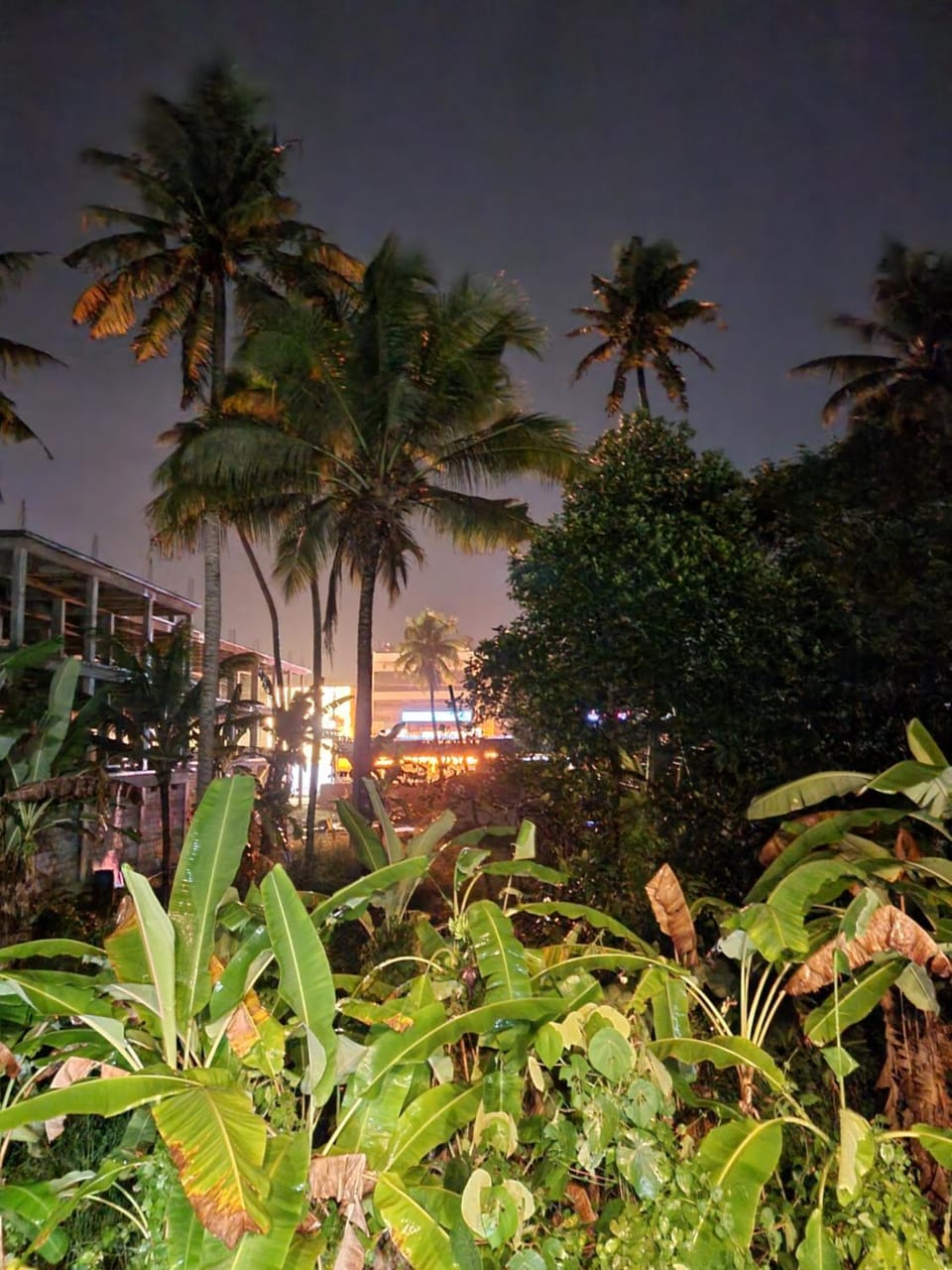 Night, Garden, City view, Garden view