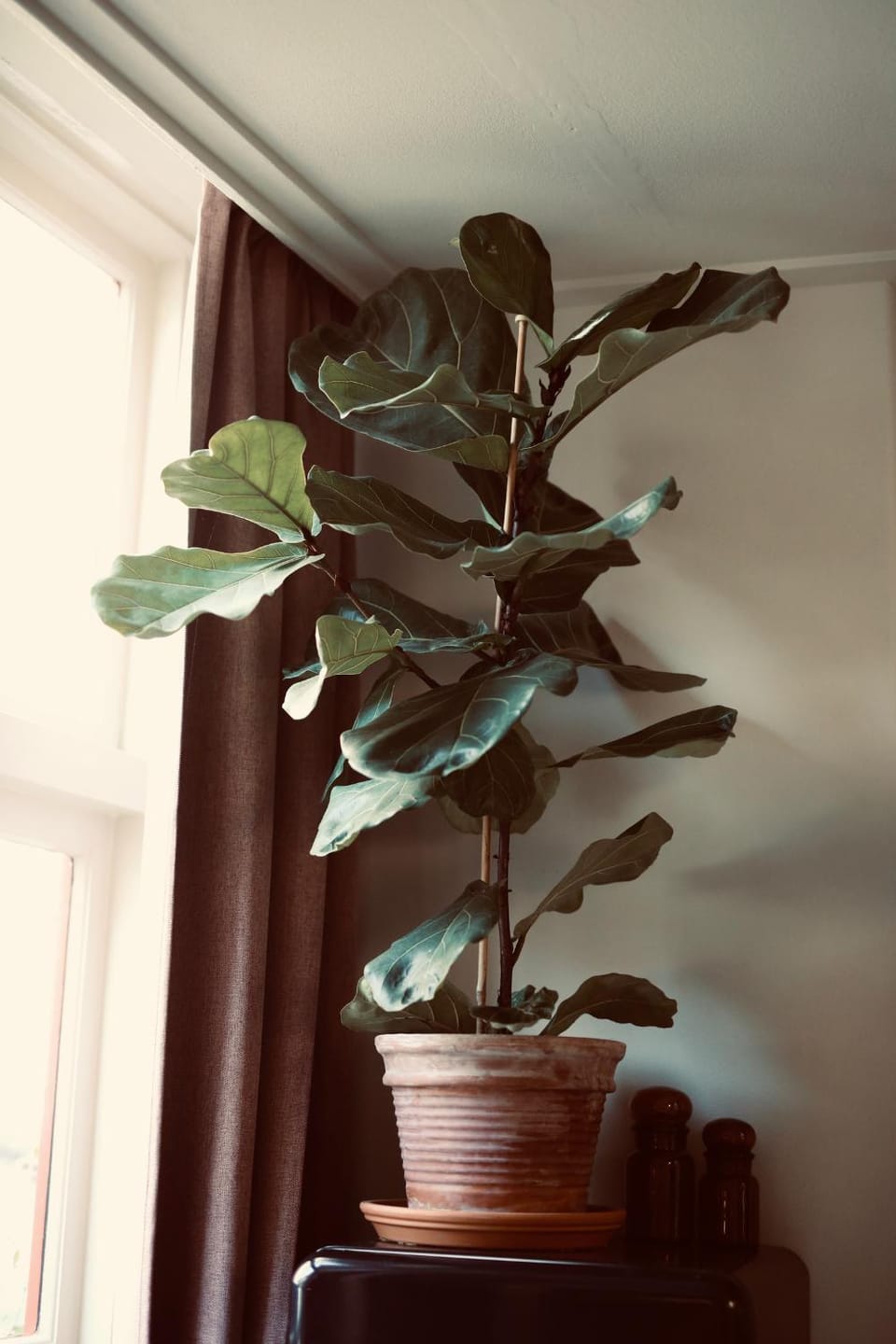 Decorative detail