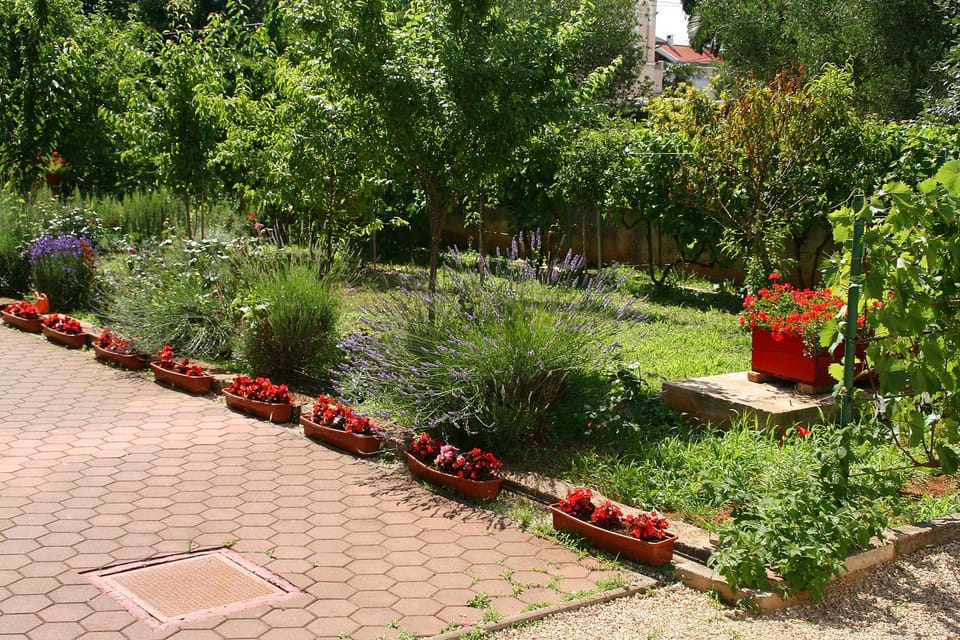 Garden, Garden view