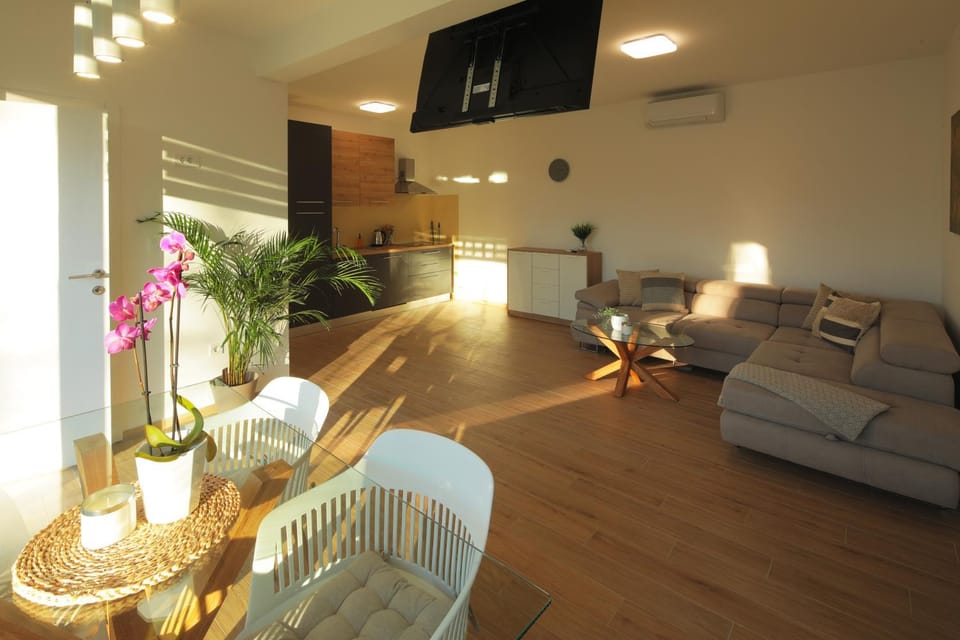 Communal lounge/ TV room, TV and multimedia, Living room, Seating area, Evening entertainment, kitchen, air conditioner