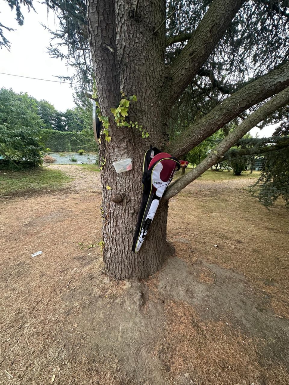 Les Oiseaux Résidence Apartment in Hauts-de-France