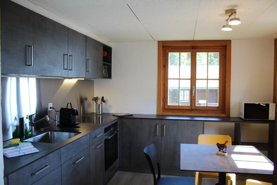 minibar, pet friendly, stove, kitchen