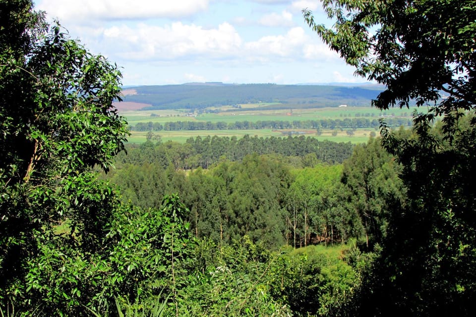 Natural landscape