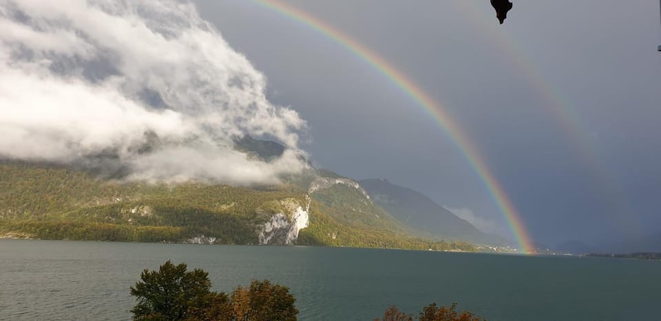 Lake view