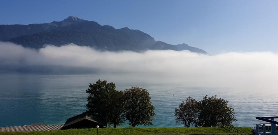 Lake view