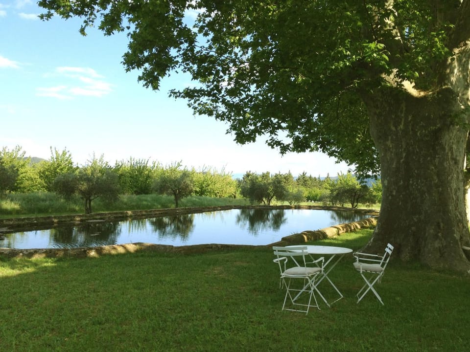 View (from property/room)