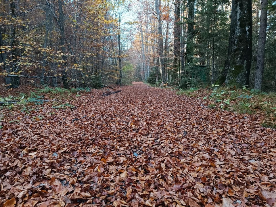 Day, Natural landscape