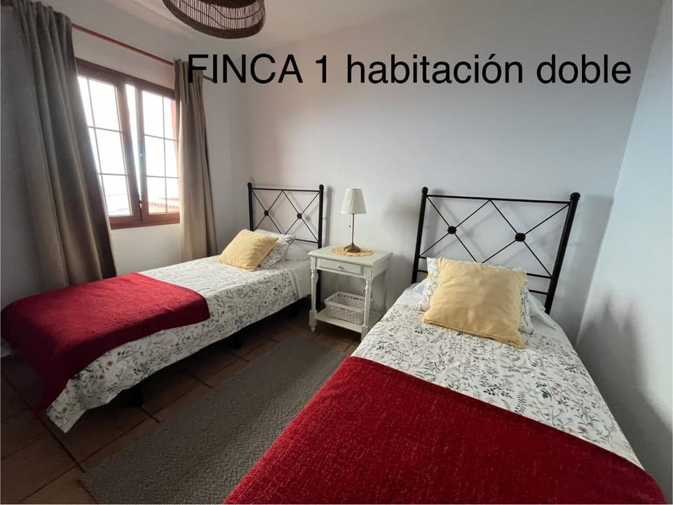 Finca La Calzada Apartment in La Palma