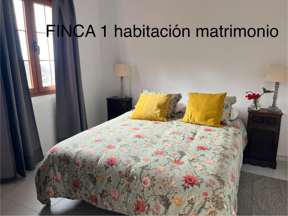 Finca La Calzada Apartment in La Palma