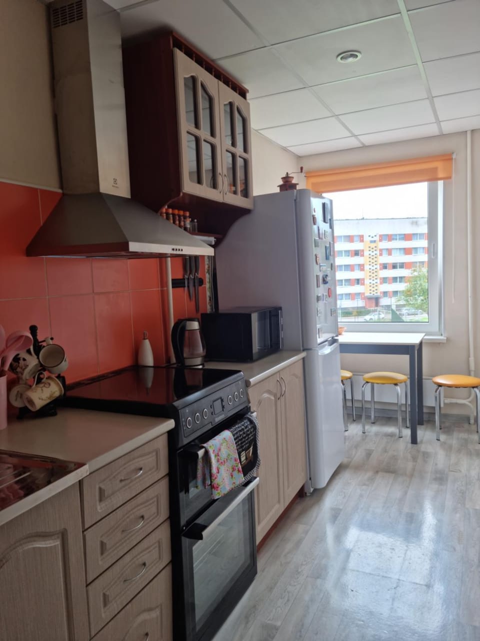 Home Sweet Home Apartment in Latvia