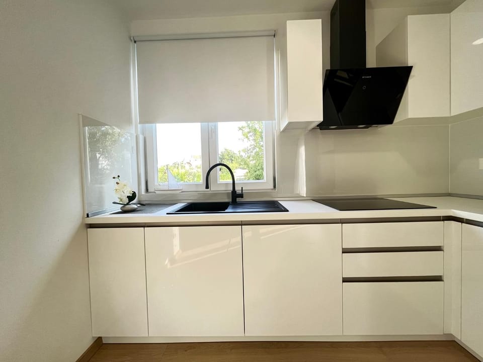 Kitchen or kitchenette, dishwasher, stove