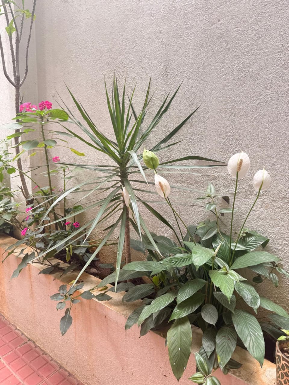 Garden, Garden view
